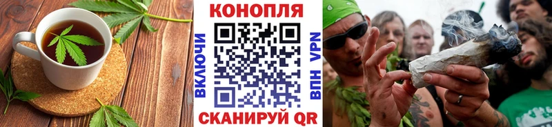 купить наркотики сайты  Дигора  Cannafood конопля 