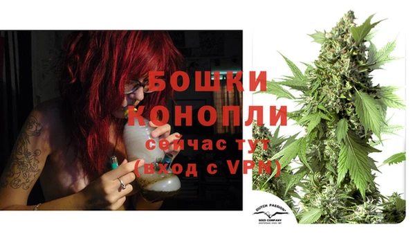 соль ск Бронницы