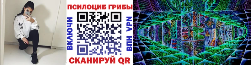hydra ссылка Дигора Псилоцибиновые грибы Magic Shrooms